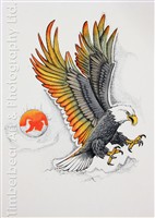 246 sun eagle